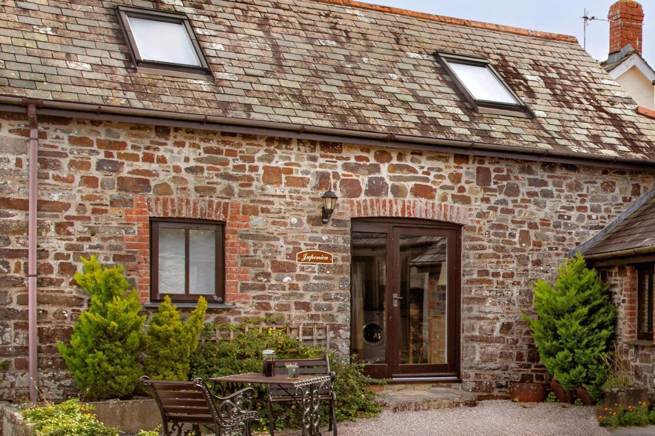 Downe Cottages Hartland Exterior foto